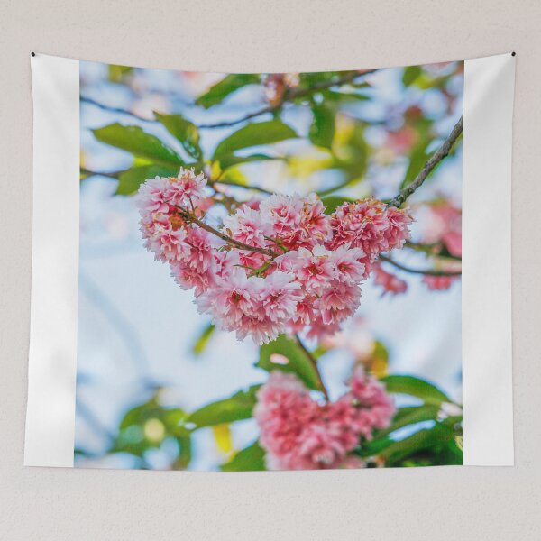 Item preview, Beautiful cherry blossom on tree designed and sold by Photopat.