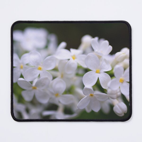 Item preview, Delicate White Lilac designed and sold by Kasia Design.