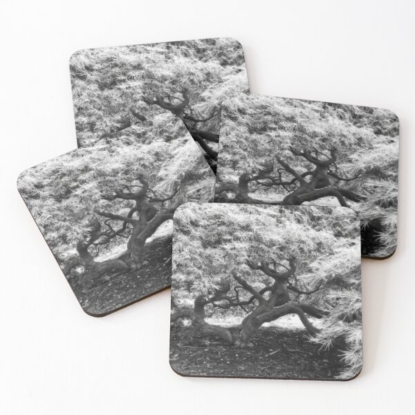 Item preview, Dreamy Maple Tree View designed and sold by Shelly Gunderson.