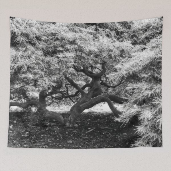 Item preview, Dreamy Maple Tree View designed and sold by Shelly Gunderson.