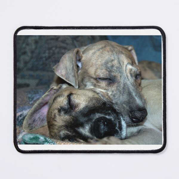 Item preview, "Cuddle Snooze" designed and sold by Gail Jones.