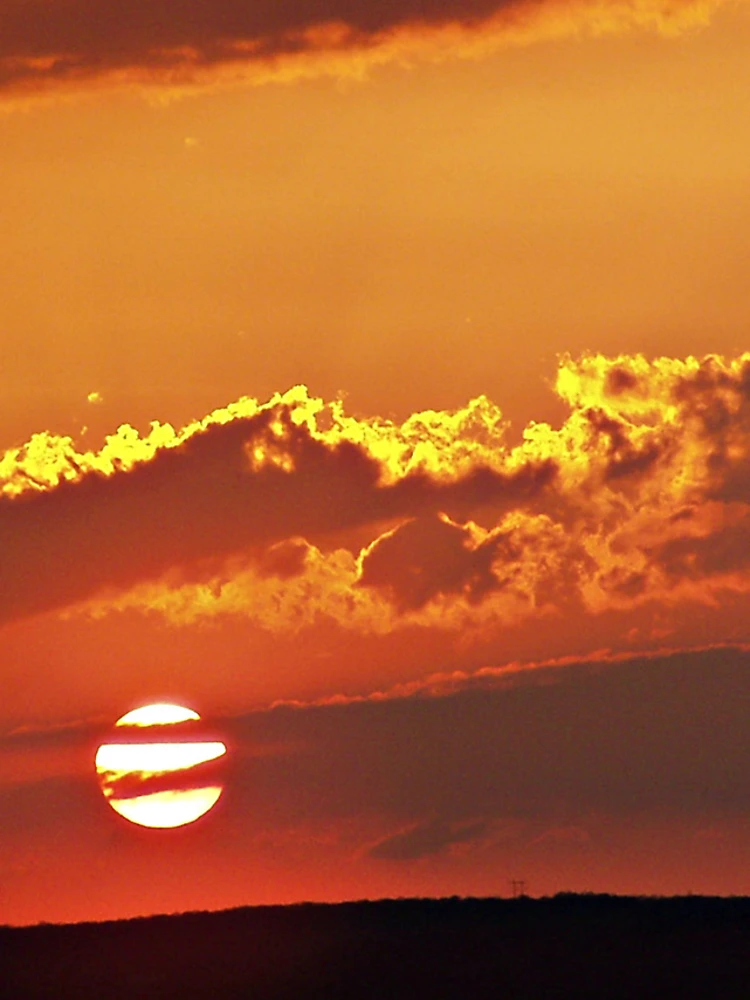Thumbnail 4 of 4, Samsung Galaxy Phone Case, "Sunset In Fall" designed and sold by Gail Jones.