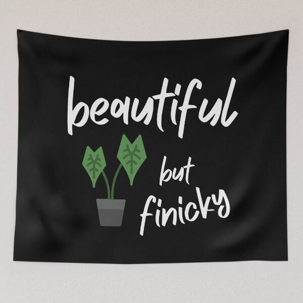 Item preview, Alocasia: Beautiful but Finicky - Funny Houseplant Quote designed and sold by ZlodziejkaKiwi.
