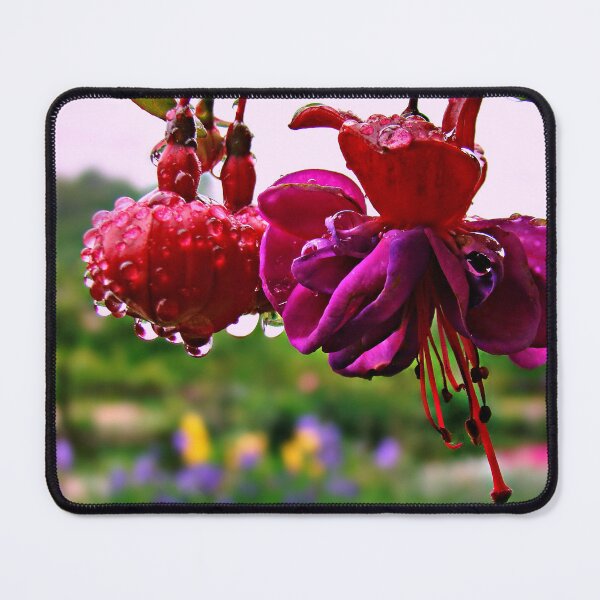 Item preview, " Rainy Day Fuschia " designed and sold by Gail Jones.