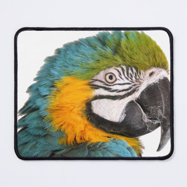 Item preview, Side portrait of a cute Macaw Parrot designed and sold by BarryMayfield.