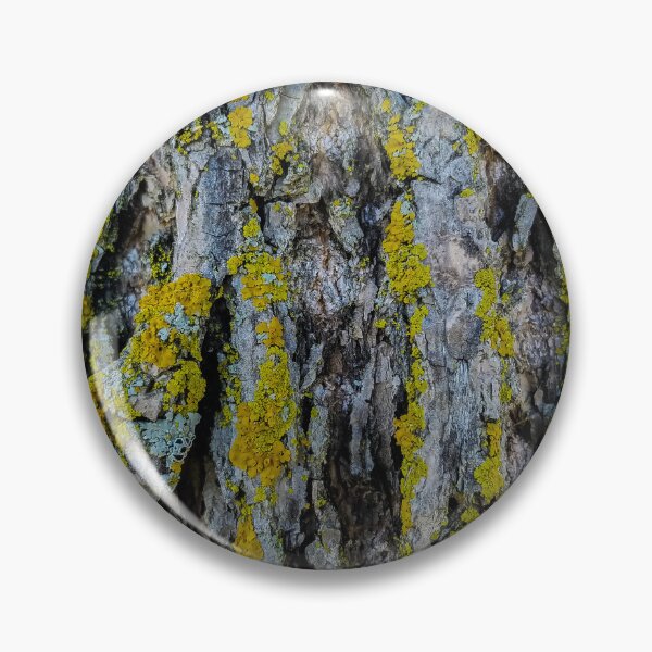 Item preview, Tree Bark v2 designed and sold by OddLilFox.