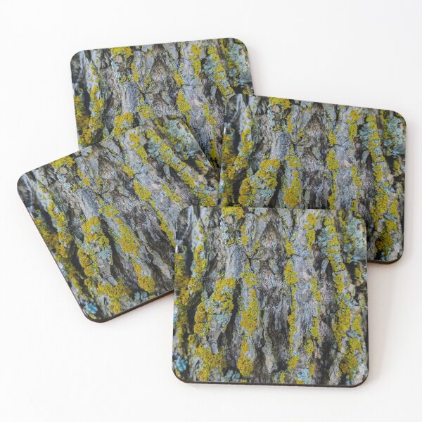Item preview, Tree Bark v2 designed and sold by OddLilFox.