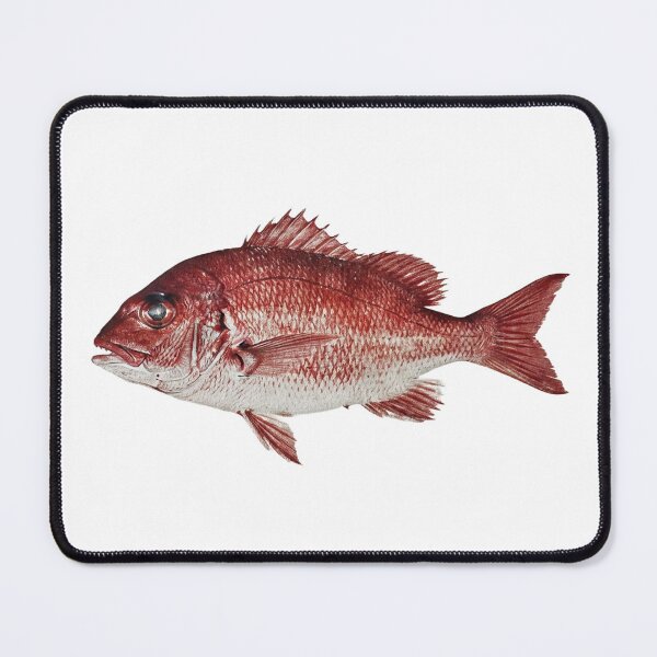 Item preview, Red Snapper  designed and sold by Fish Town.