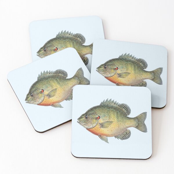 Item preview, Sunfish designed and sold by Fish Town.