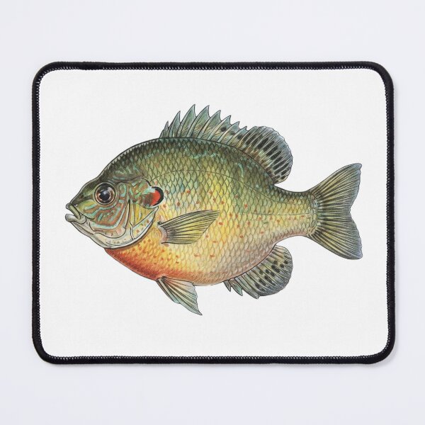 Item preview, Sunfish designed and sold by Fish Town.