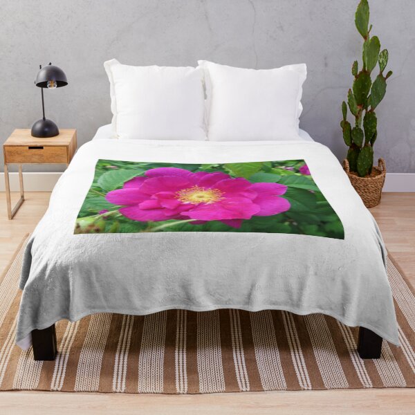 Item preview, French Fushia Rose - 1 designed and sold by BostonArcImage.