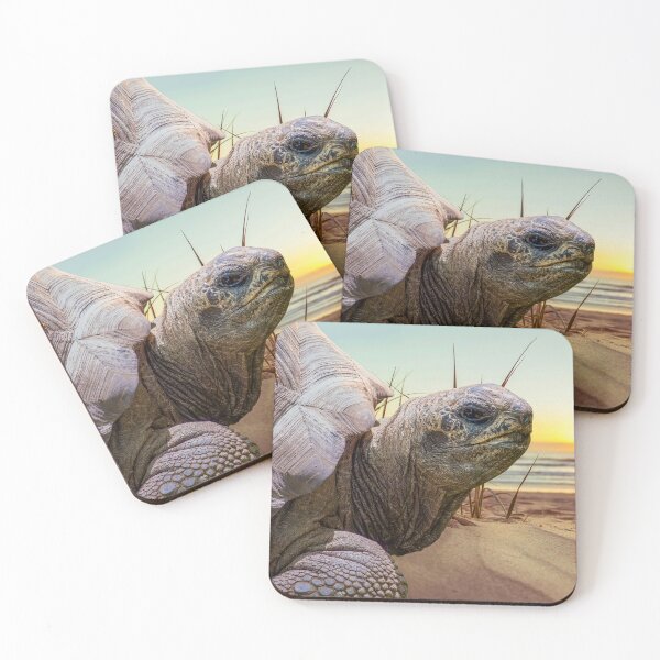 Item preview, No Rush designed and sold by Tim Dusenberry.