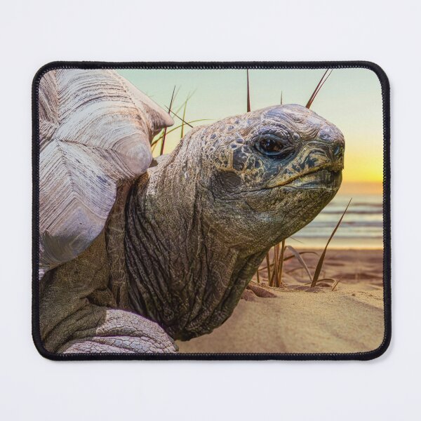 Item preview, No Rush designed and sold by Tim Dusenberry.