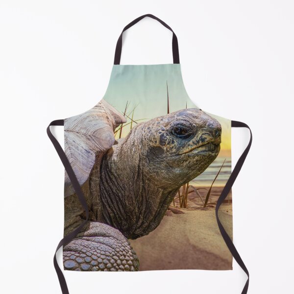 Item preview, No Rush designed and sold by Tim Dusenberry.