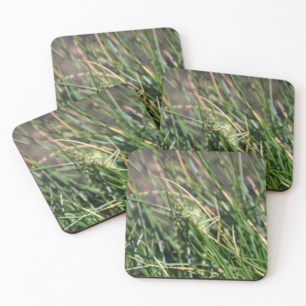 Item preview, Picture of a grasshopper hidden in the grass designed and sold by Elle Willers.