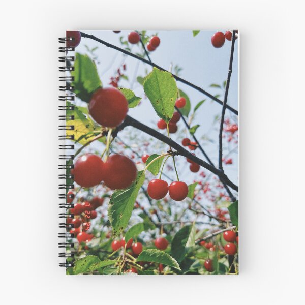 Item preview, perfect cherries designed and sold by pomspice08.