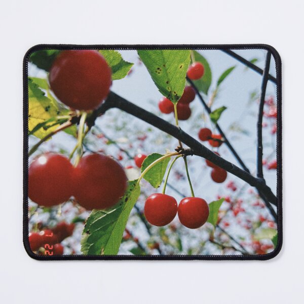 Item preview, perfect cherries designed and sold by pomspice08.