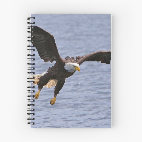 Item preview, The Best of Eagle eyes designed and sold by David Tate.