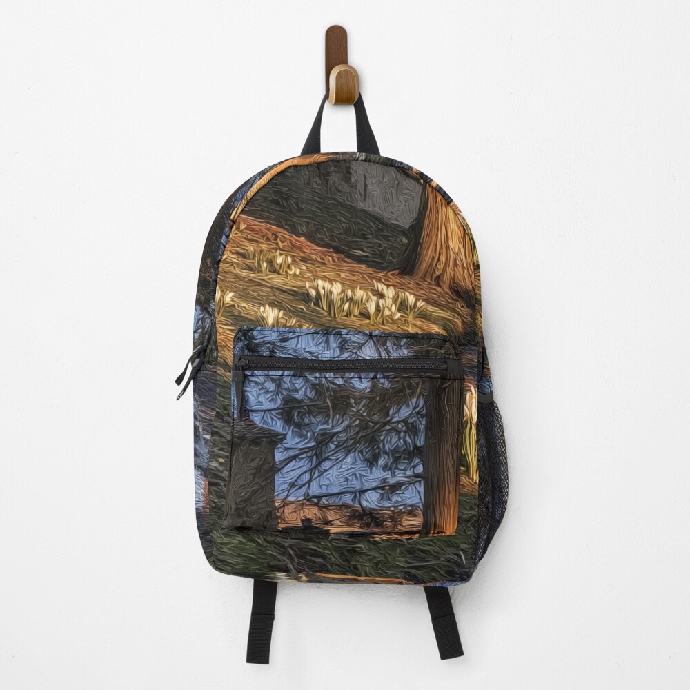 Item preview, Backpack designed and sold by StellarGeometry.