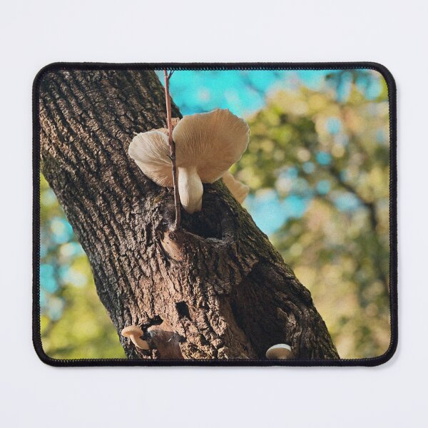 Item preview, a mushroom and her tree designed and sold by pomspice08.