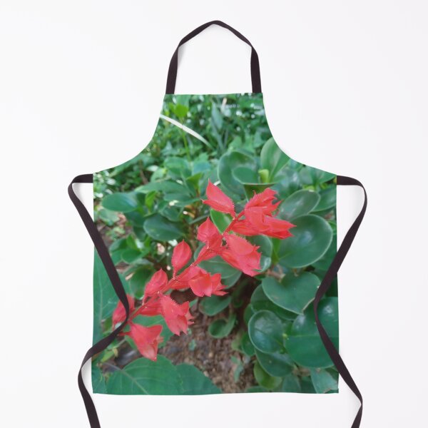 Item preview, Salvia splendens designed and sold by André Ramos Ielo.