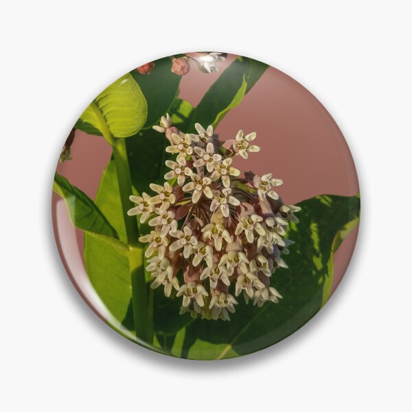 Item preview, Milkweed designed and sold by OddLilFox.
