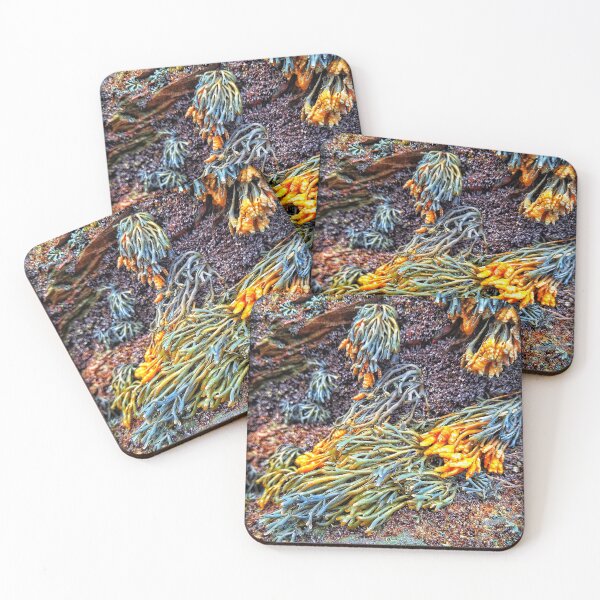 Item preview, Seaweed On The Stones designed and sold by 21mandatory.