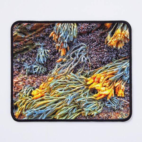 Item preview, Seaweed On The Stones designed and sold by 21mandatory.