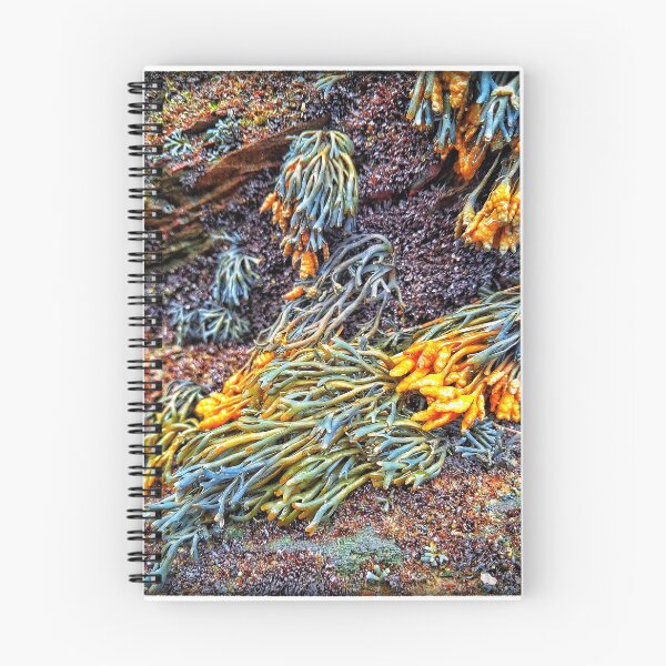 Item preview, Seaweed On The Stones designed and sold by 21mandatory.