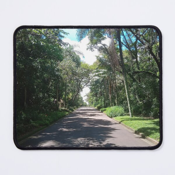 Item preview, Scenic Paved Road Through a Lush Tropical Forest designed and sold by André Ramos Ielo.