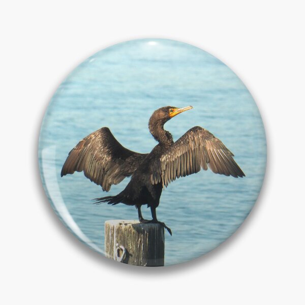 Item preview, Double-crested Cormorant (Phalacrocorax auritus). designed and sold by annasofia.