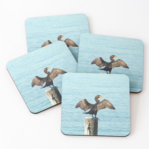 Item preview, Double-crested Cormorant (Phalacrocorax auritus). designed and sold by annasofia.