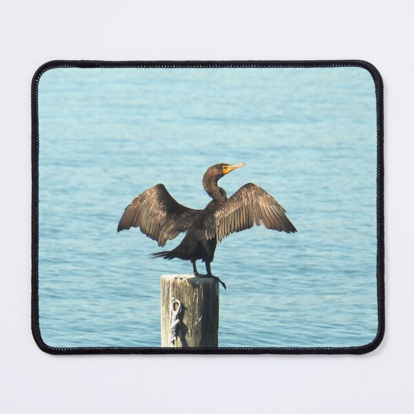 Item preview, Double-crested Cormorant (Phalacrocorax auritus). designed and sold by annasofia.