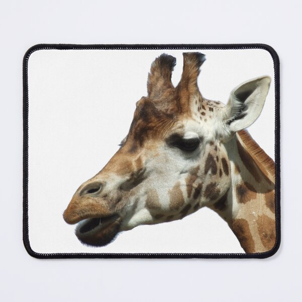 Item preview, Proud giraffe in the sunshine designed and sold by BarryMayfield.