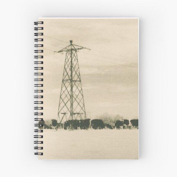 Item preview, Cows in Rathcooney  designed and sold by BarryMayfield.