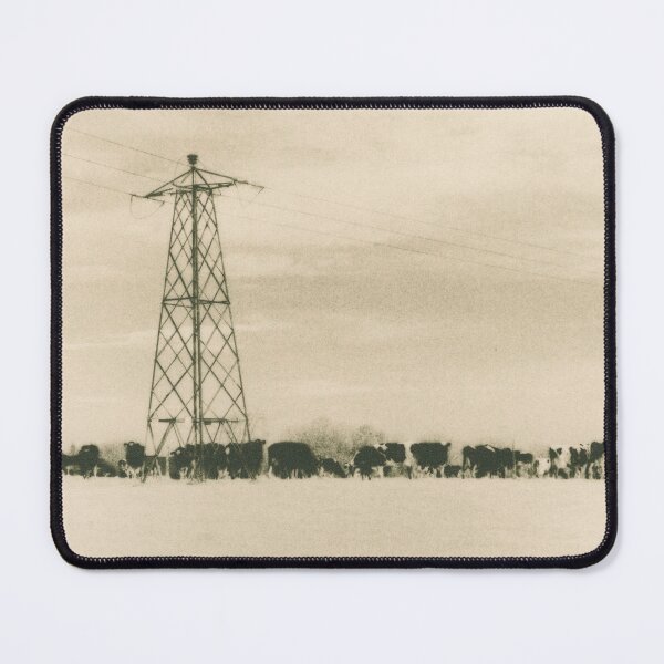 Item preview, Cows in Rathcooney  designed and sold by BarryMayfield.