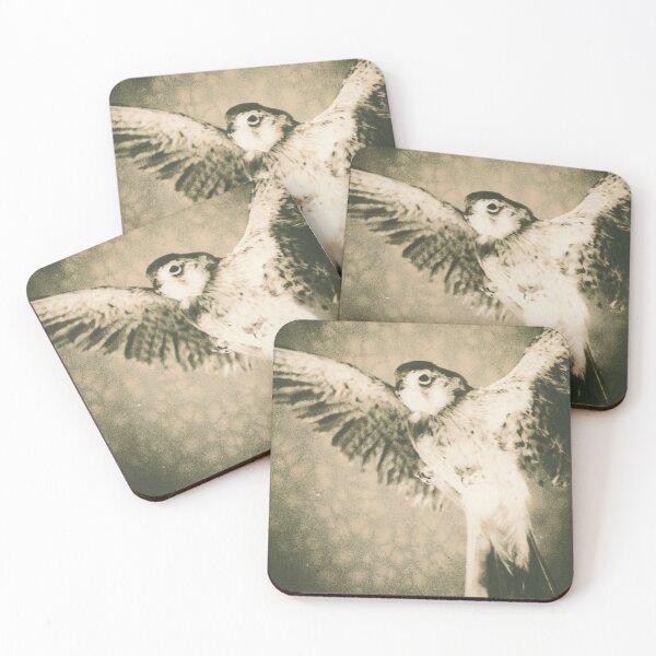 Item preview, American Kestrel soaring designed and sold by BarryMayfield.