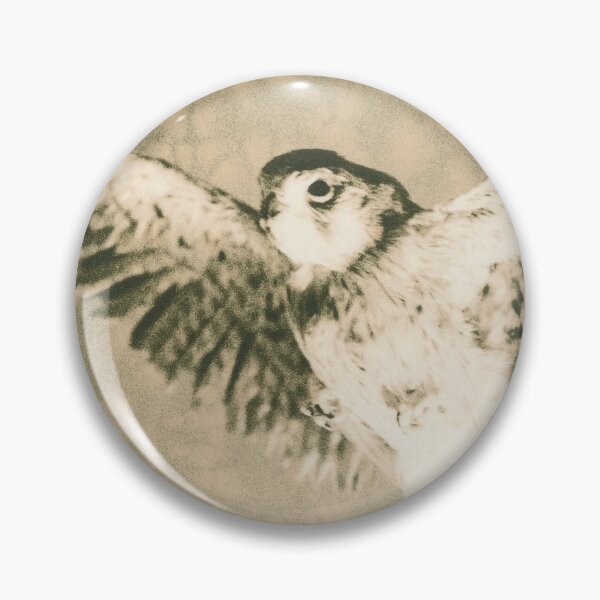Item preview, American Kestrel soaring designed and sold by BarryMayfield.