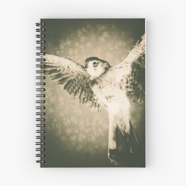 Item preview, American Kestrel soaring designed and sold by BarryMayfield.