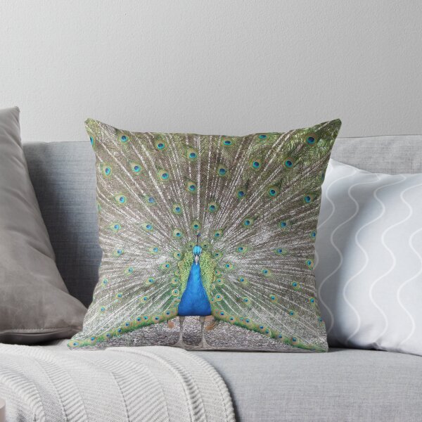 Item preview, Fierce peacock display designed and sold by BarryMayfield.