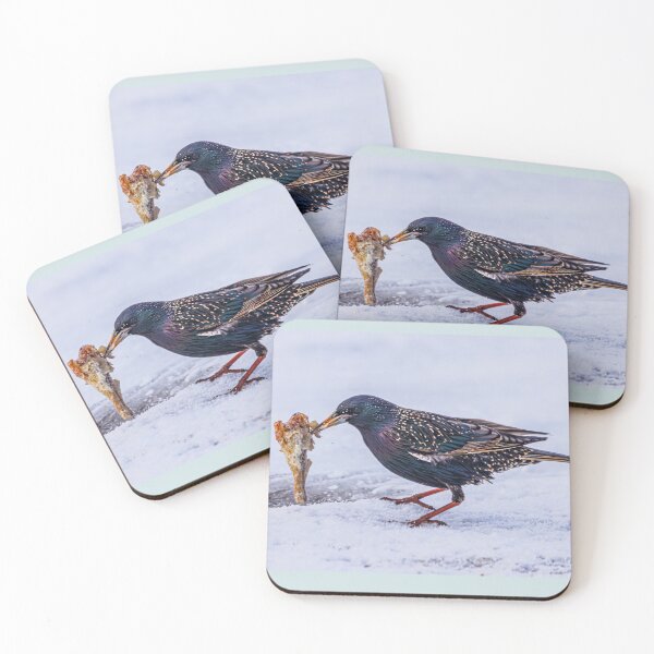 Item preview, Got Chicken? designed and sold by Fultz-Brothers.