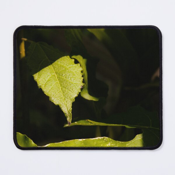 Item preview, Tree leaf designed and sold by michaelalonzo.