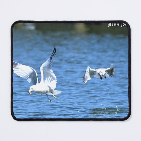 Item preview, The Chase designed and sold by Glennphotos.