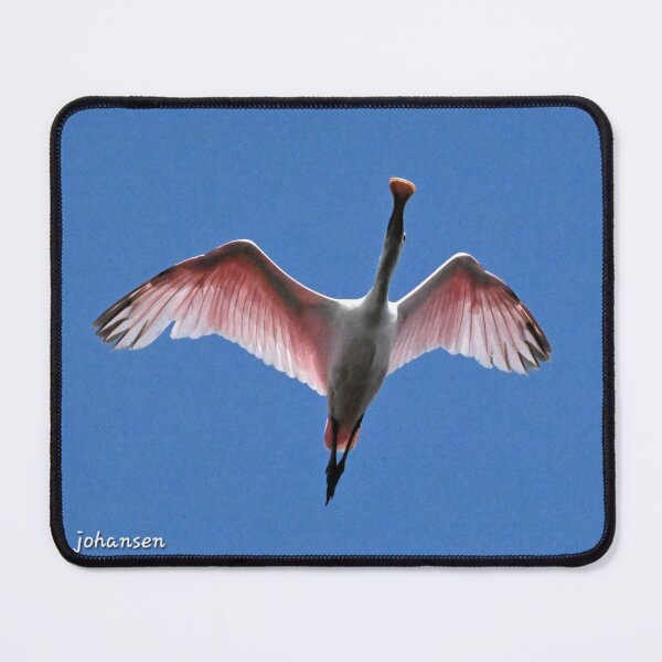 Item preview, Spoony over the top designed and sold by Glennphotos.