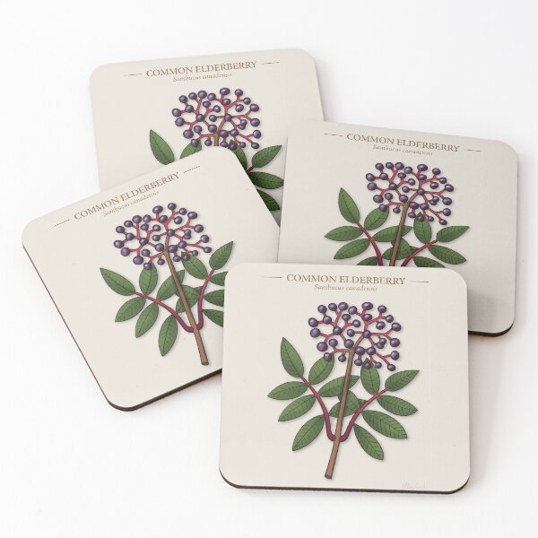 Item preview, Common Elderberry designed and sold by AaaliceDesigns.