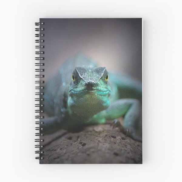 Item preview, Plumed Basilisk designed and sold by LeanneAllen.