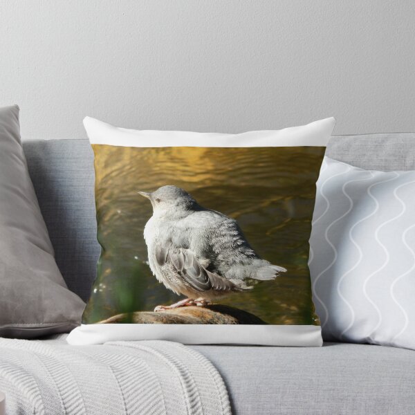 Item preview, American Dipper Bird designed and sold by Coley Optera.