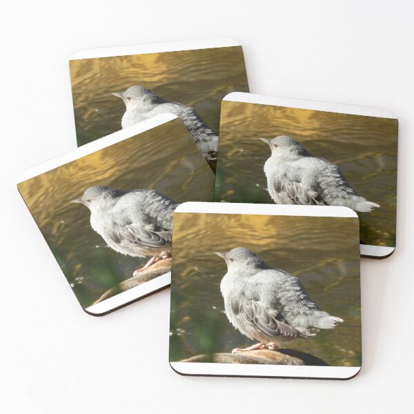 Item preview, American Dipper Bird designed and sold by Coley Optera.