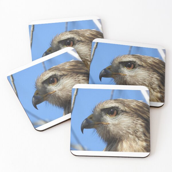 Item preview, Red-shouldered Hawk designed and sold by Coley Optera.