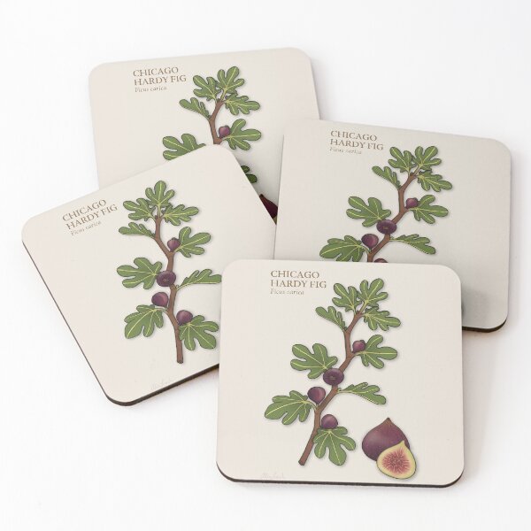 Item preview, Fig Botanical Print designed and sold by AaaliceDesigns.